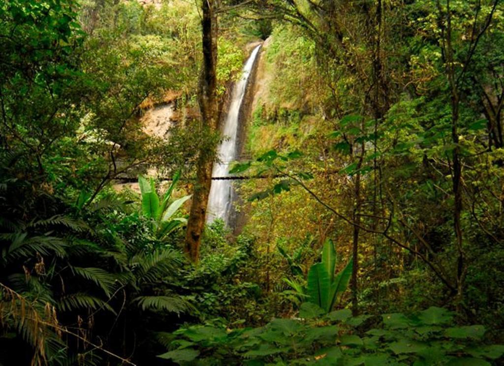 Reserva Natural Atitlan Panajachel Dış mekan fotoğraf