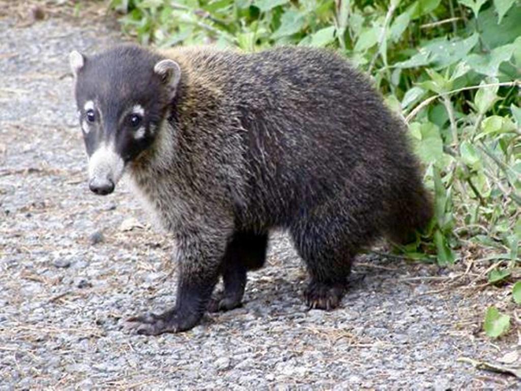 Reserva Natural Atitlan Panajachel Dış mekan fotoğraf