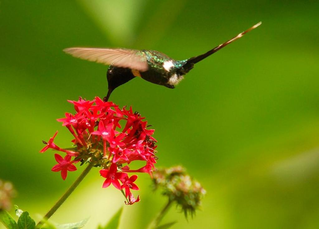 Reserva Natural Atitlan Panajachel Dış mekan fotoğraf